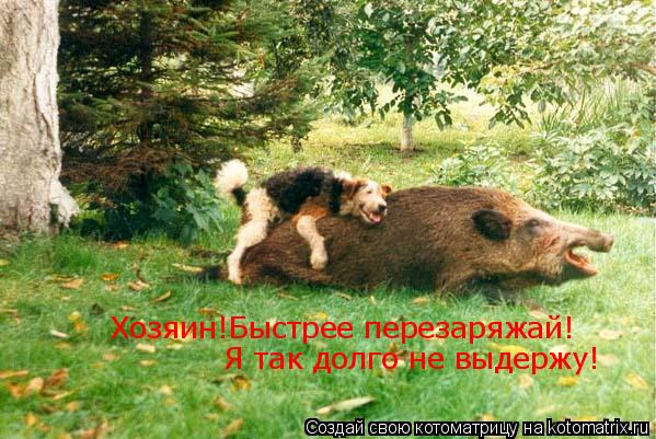 Котоматрица: Хозяин!Быстрее перезаряжай! Я так долго не выдержу!