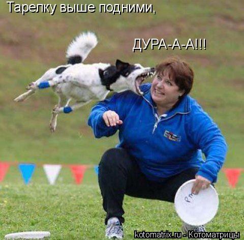 Котоматрица: Тарелку выше подними, ДУРА-А-А!!!