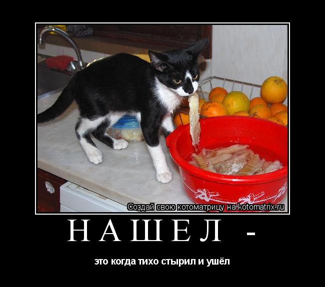 Котоматрица: нашёл -  это когда тихо стырил и ушёл