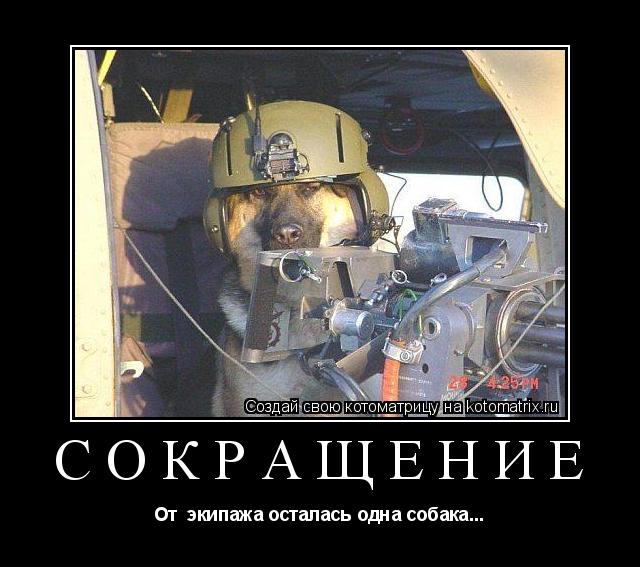 Котоматрица: СОКРАЩЕНИЕ  От  экипажа осталась одна собака...