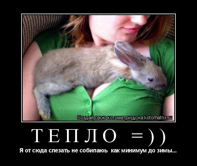 Котоматрица: Тепло =)) Я от сюда слезать не собипаюь  как минимум до зимы...
