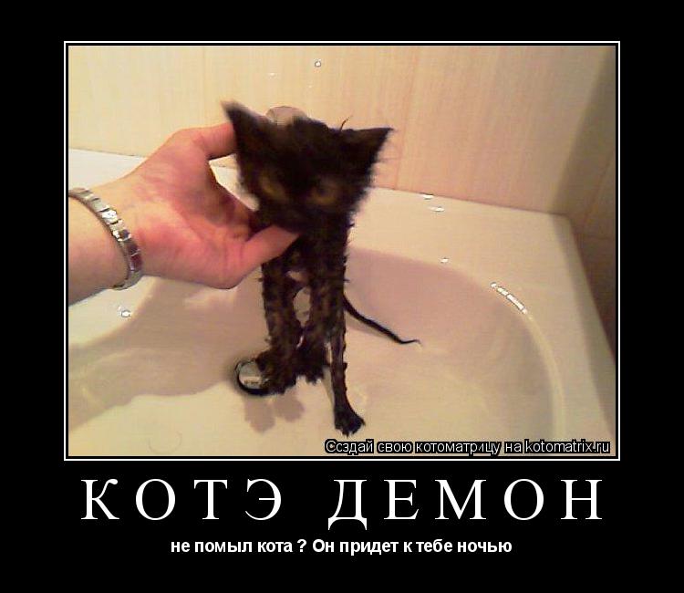 Котоматрица: КотЭ демон не помыл кота ? Он придет к тебе ночью