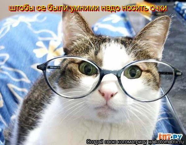 Котоматрица: штобы се были умними надо носить очки штобы се были умними надо носить очки штобы се были умними надо носить очки штобы се были умними надо 