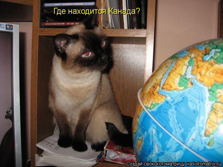 Котоматрица: Где находится Канада?