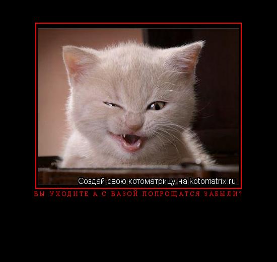 Котоматрица: Вы уходите а с вазой попрощатся забыли? 