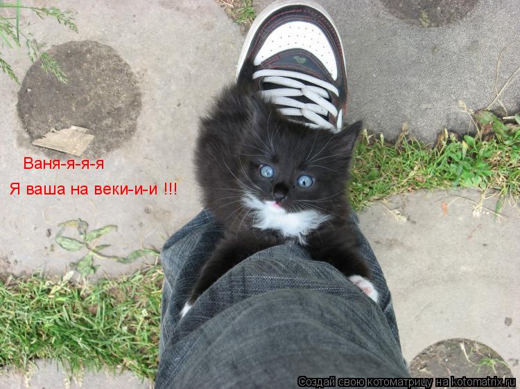 Котоматрица: Ваня-я-я-я Я ваша на веки-и-и !!!