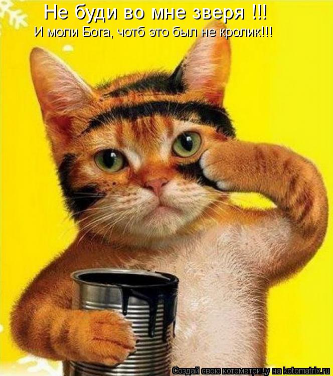 Котоматрица: Не буди во мне зверя !!!  И моли Бога, чотб это был не кролик!!!
