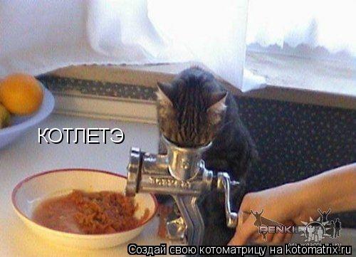 Котоматрица: КОТЛЕТЭ