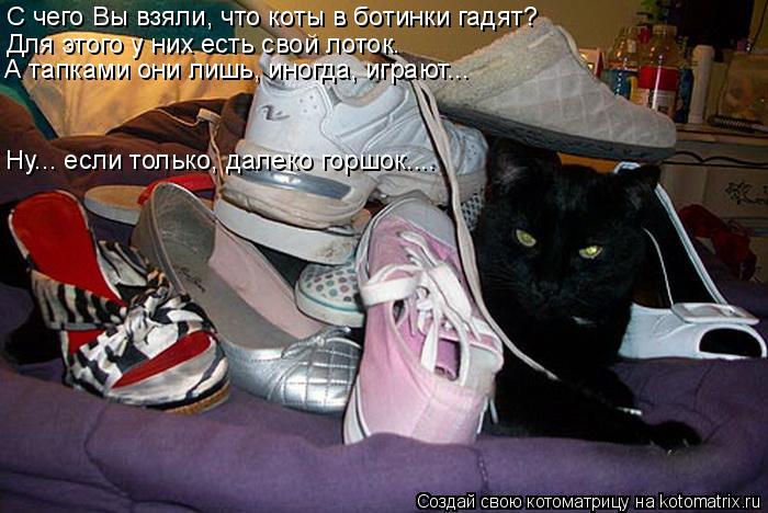 С чего Вы взяли, что коты в ботинки гадят? Для этого у них есть свой лоток. А тапками они лишь, иногд... Котоматрица: С чего Вы взяли, что коты в ботинки гадят? Для этого у них есть свой лоток. А тапками они лишь, иногда, играют….. Ну….. если только, далеко горш