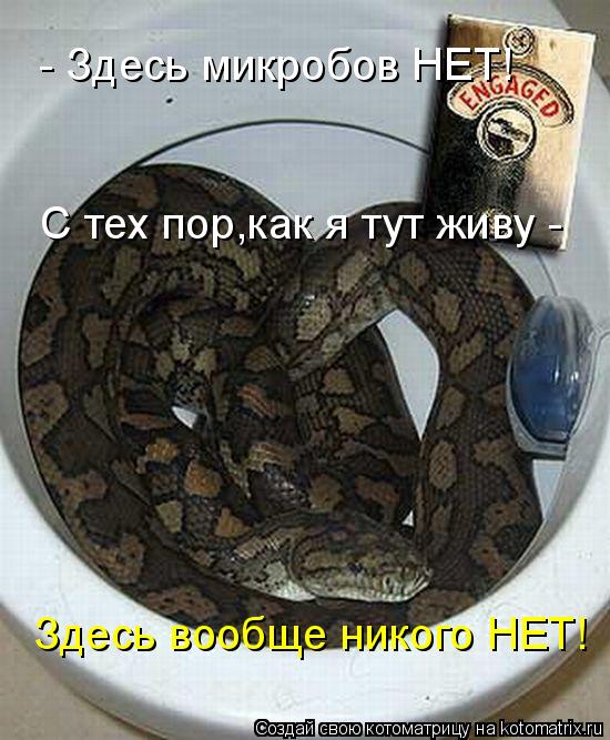 Котоматрица: Здесь вообще никого НЕТ! - Здесь микробов НЕТ! С тех пор,как я тут живу -