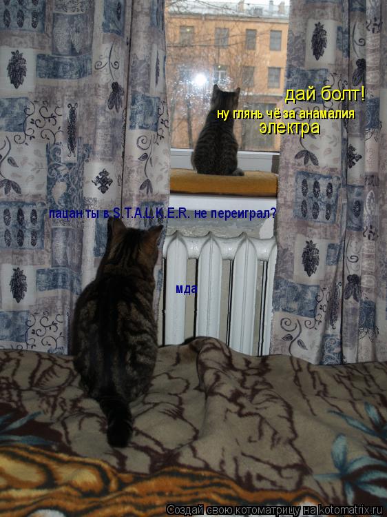 Котоматрица: дай болт! пацан ты в S.T.A.L.K.E.R. не переиграл? ну глянь чё за анамалия электра мда