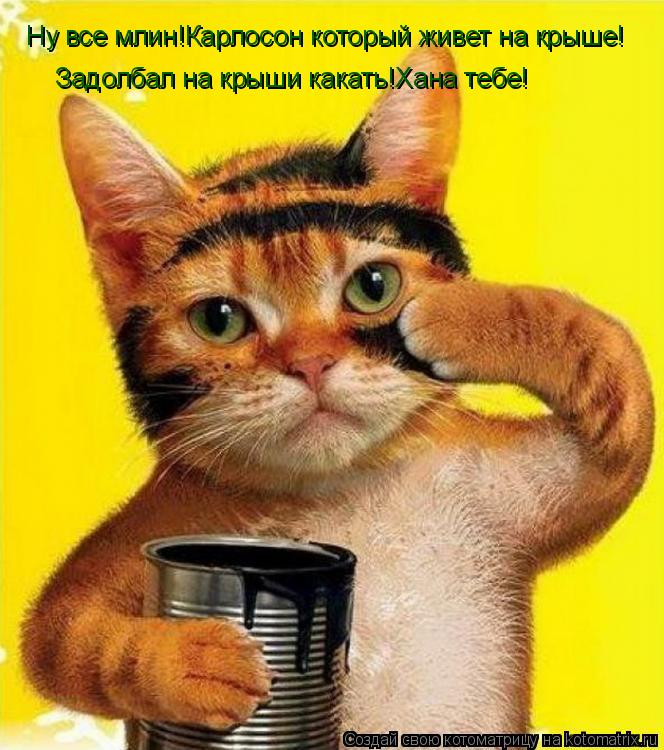 Котоматрица: Ну все млин!Карлосон который живет на крыше! Задолбал на крыши какать!Хана тебе!