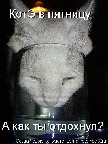 Котоматрица: КотЭ в пятницу А как ты отдохнул?