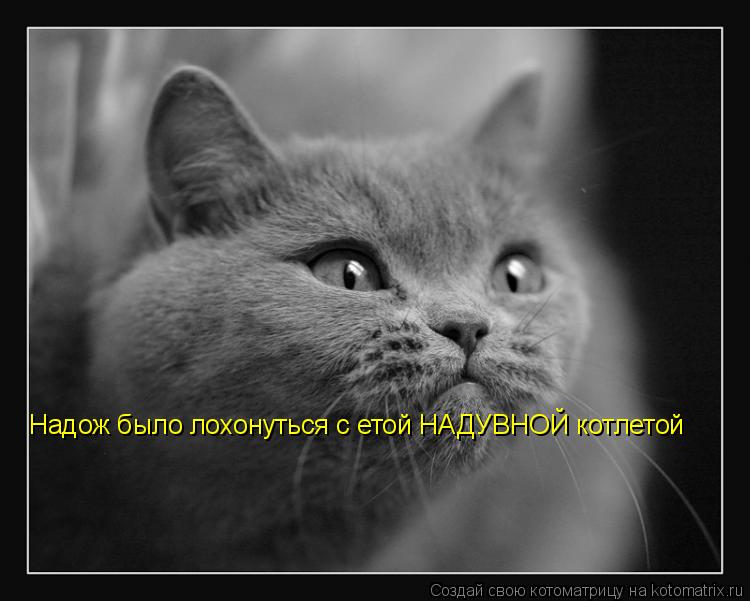 Котоматрица: Надож было лохонуться с етой НАДУВНОЙ котлетой