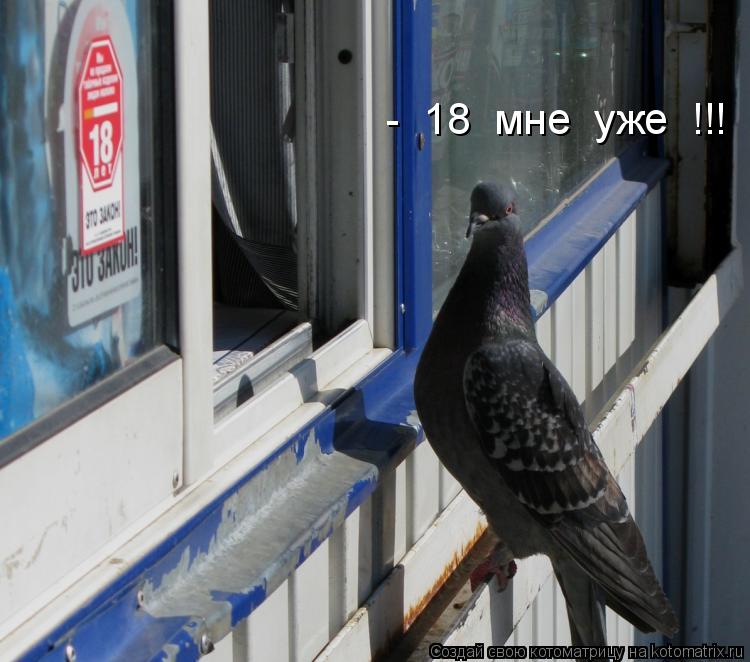Котоматрица: -  18  мне  уже  !!!