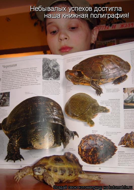 Котоматрица: Небывалых успехов достигла наша книжная полиграфия!