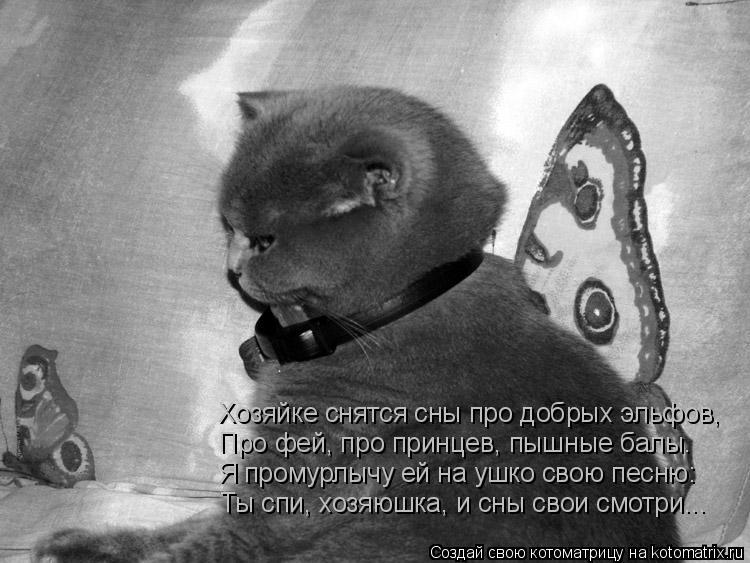Хозяйке снятся сны про добрых эльфов, Про фей, про принцев, пышные балы. Я промурлычу ей на ушко свою... Котоматрица: Хозяйке снятся сны про добрых эльфов, Про фей, про принцев, пышные балы. Я промурлычу ей на ушко свою песню: Ты спи, хозяюшка, и сны свои смотр