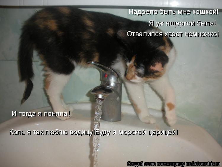 Котоматрица: Надоело быть мне кошкой! Я уж ящеркой была! Отвалился хвост немножко! И тогда я поняла! Коль я так люблю водицу!Буду я морской царицей!
