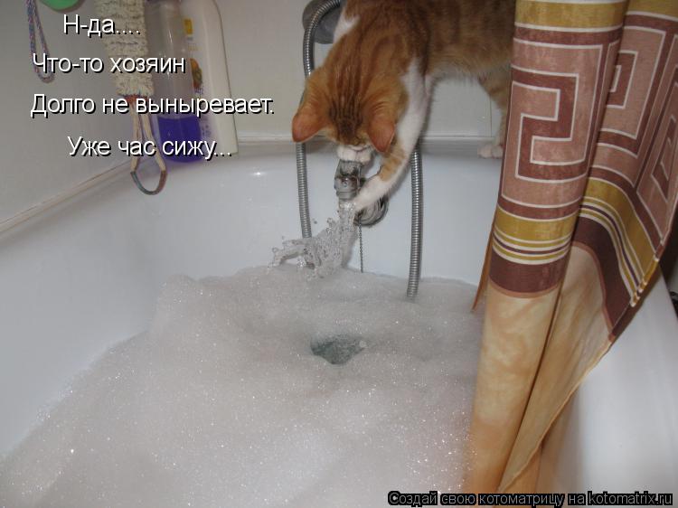 Котоматрица: Н-да.... Что-то хозяин  Долго не выныревает. Уже час сижу...