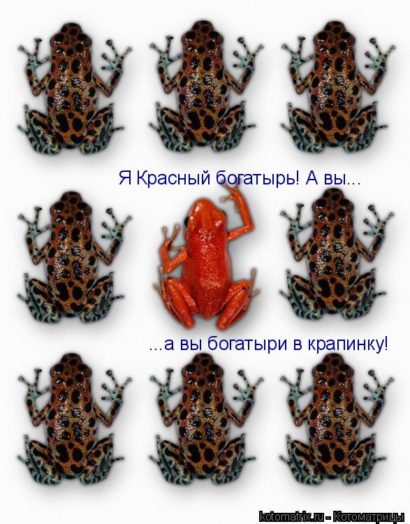 Котоматрица: Я Красный богатырь! А вы... ...а вы богатыри в крапинку!