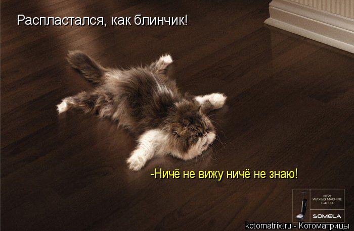Котоматрица: Распластался, как блинчик! -Ничё не вижу ничё не знаю!