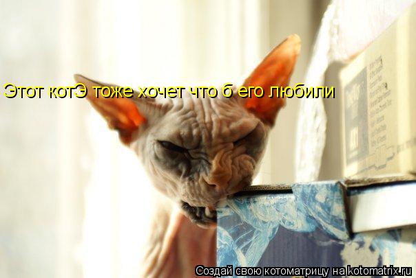 Котоматрица: Этот котЭ тоже хочет что б его любили
