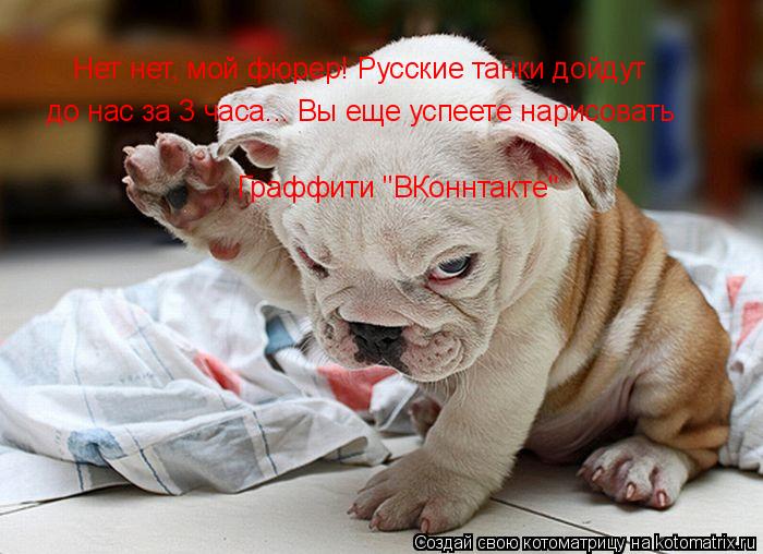 Нет нет, мой фюрер! Русские танки дойдут до нас за 3 часа... Вы еще успеете нарисовать Граффити "ВКо... Котоматрица: Нет нет, мой фюрер! Русские танки дойдут до нас за 3 часа... Вы еще успеете нарисовать Граффити "ВКоннтакте"