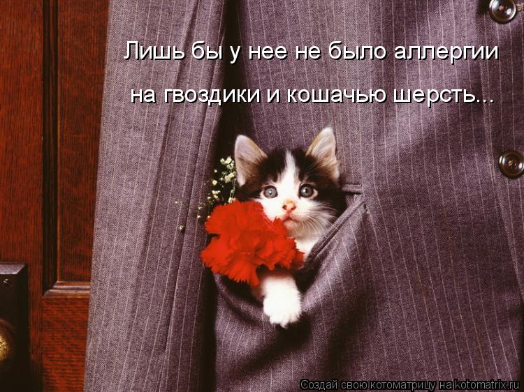 Котоматрица: Лишь бы у нее не было аллергии на гвоздики и кошачью шерсть...