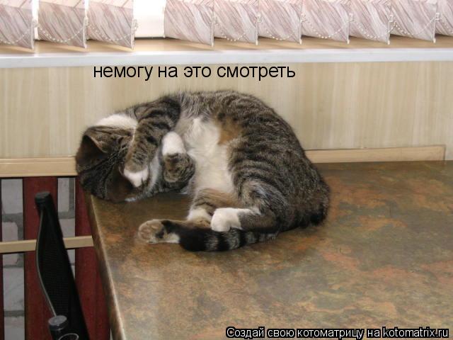 Котоматрица: немогу на это смотреть