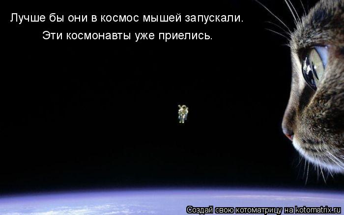 Лучше бы они в космос мышей запускали. Эти космонавты уже приелись.... Котоматрица: Лучше бы они в космос мышей запускали. Эти космонавты уже приелись.