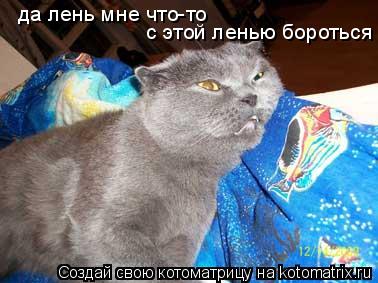 Котоматрица: да лень мне что-то  с этой ленью бороться