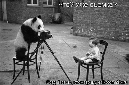 Котоматрица: Что? Уже съемка?