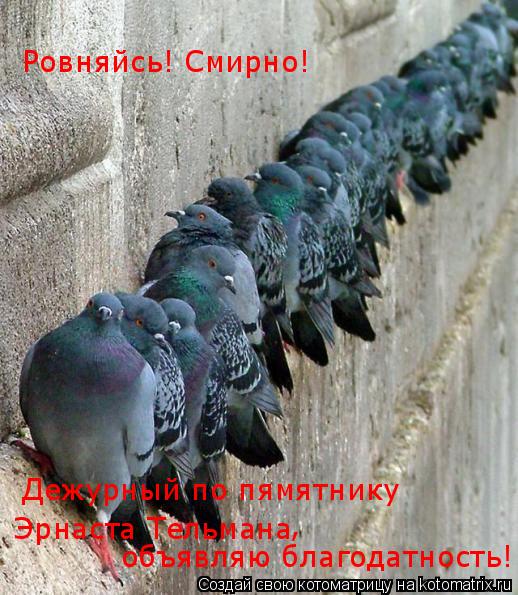 Котоматрица: Дежурный по пямятнику  Эрнаста Тельмана объявляю благодатность! , Ровняйсь! Смирно!