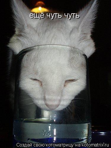 Котоматрица: ещё чуть чуть ещё чуть чуть