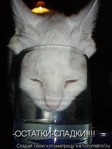 Котоматрица: -ОСТАТКИ-СЛАДКИ !!!