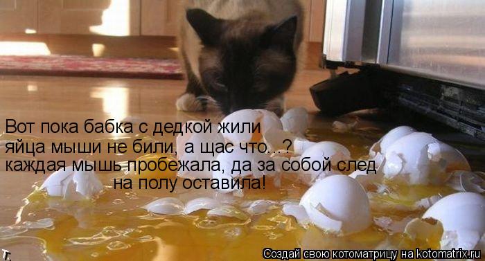 Котоматрица: Вот пока бабка с дедкой жили яйца мыши не били, а щас что...? каждая мышь пробежала, да за собой след  на полу оставила!
