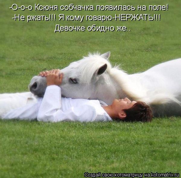 Котоматрица: -О-о-о Ксюня собчачка появилась на поле! -Не ржать!!! Я кому говарю-НЕРЖАТЬ!!! Девочке обидно же..