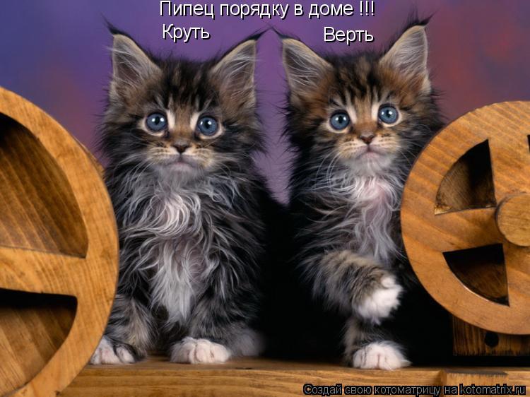 Котоматрица: Круть Верть Пипец порядку в доме !!!