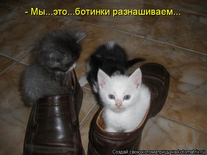 Котоматрица: - Мы...это...ботинки разнашиваем...