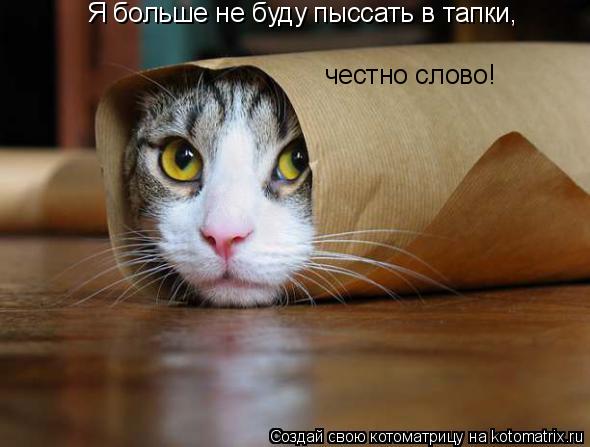 Котоматрица: Я больше не буду пыссать в тапки, честно слово!