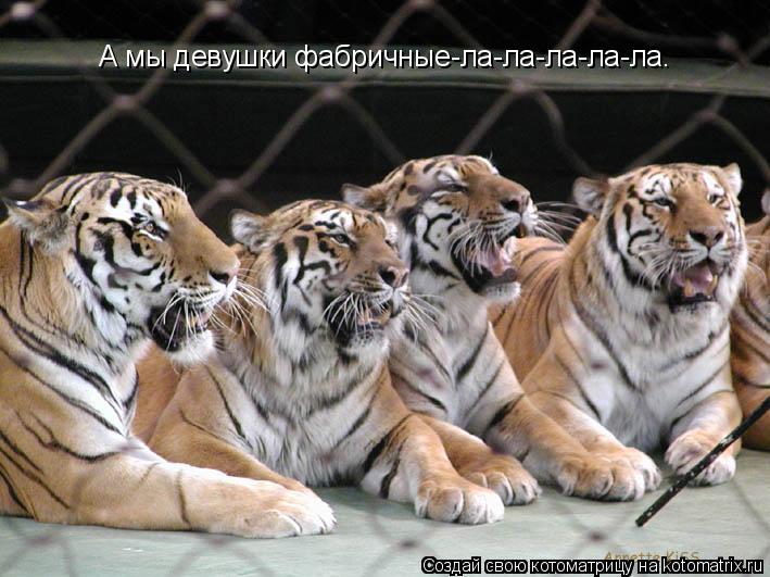 Котоматрица: А мы девушки фабричные-ла-ла-ла-ла-ла.