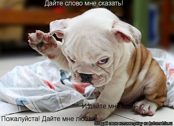 Котоматрица: Дайте слово мне сказать! Пожалуйста! Дайте мне любви! И дайте мне еды!