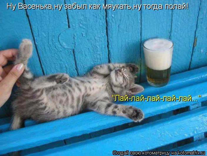 Котоматрица: Ну Васенька,ну забыл как мяукать,ну тогда полай! "Лай-лай-лай-лай-лай..."