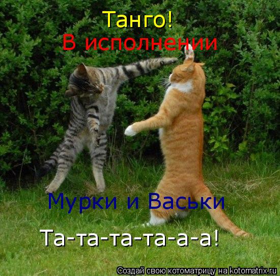 Котоматрица: Танго! В исполнении Мурки и Васьки Та-та-та-та-а-а!
