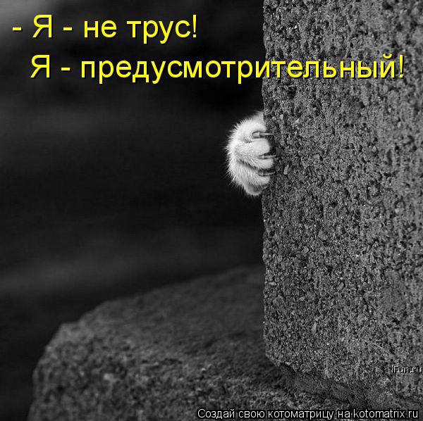 Котоматрица: - Я - не трус! Я - предусмотрительный!