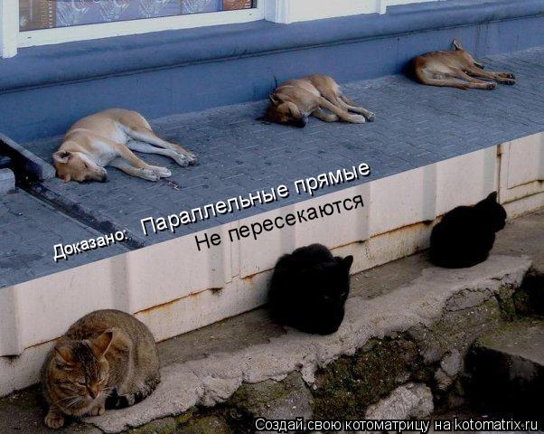 Котоматрица: Война войной,а сон по расписанию Не пересекаются Параллельные прямые Доказано: