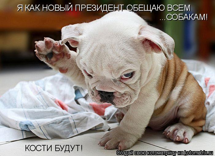 Котоматрица: Я КАК НОВЫЙ ПРЕЗИДЕНТ ОБЕЩАЮ ВСЕМ ...СОБАКАМ! КОСТИ БУДУТ!