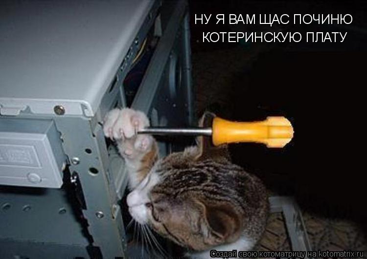 Котоматрица: НУ Я ВАМ ЩАС ПОЧИНЮ КОТЕРИНСКУЮ ПЛАТУ