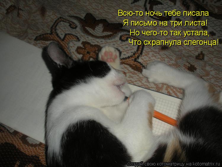 Котоматрица: Всю-то ночь тебе писала Я письмо на три листа! Но чего-то так устала, Что схрапнула слегонца!