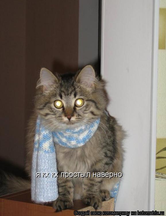 Котоматрица: я кх кх простыл наверно